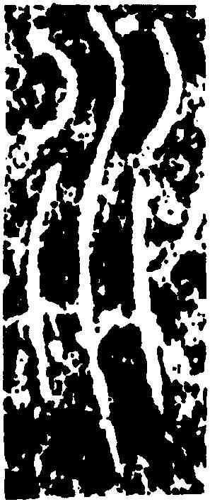 水,峿臺銘,書法字典